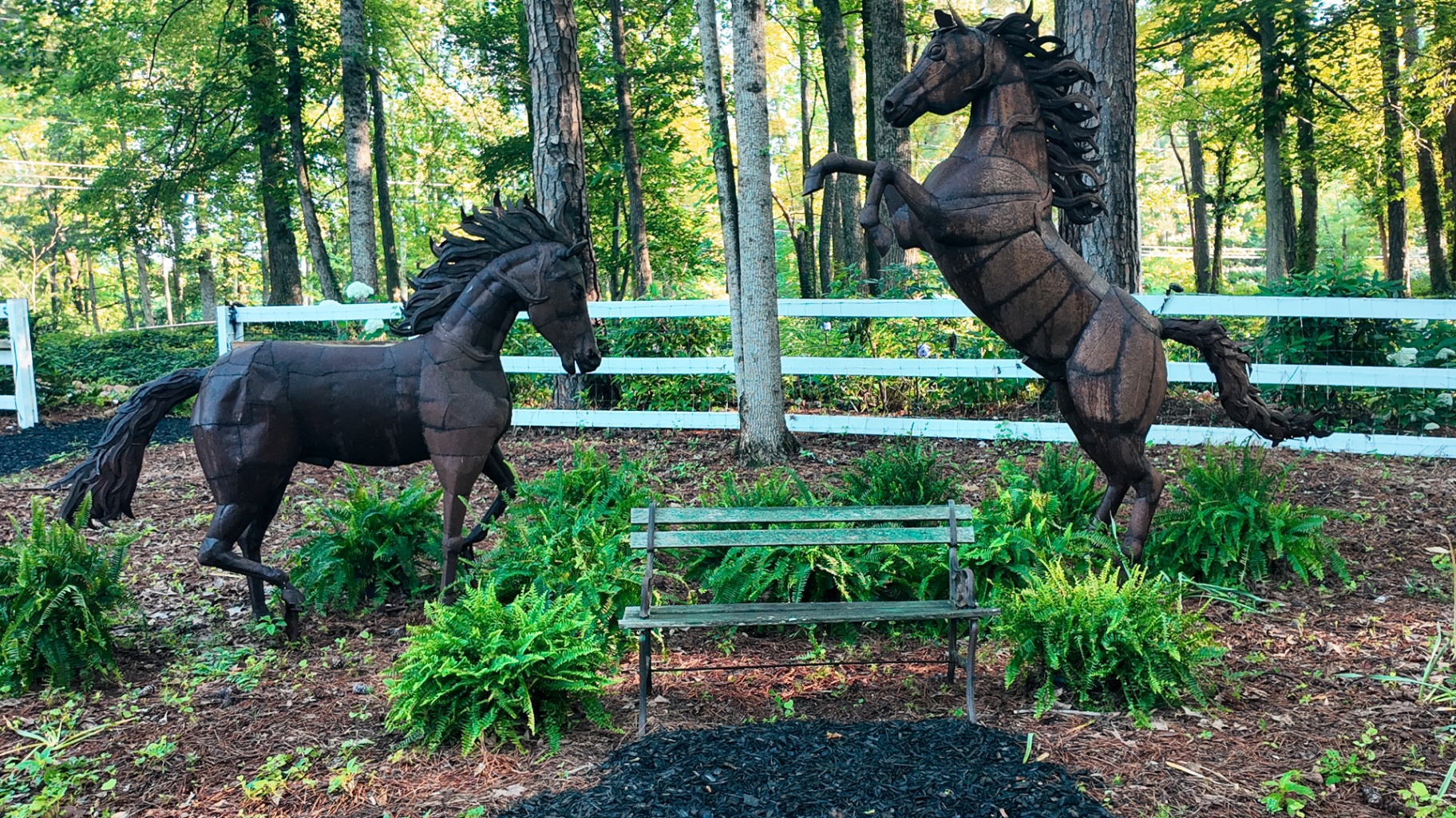 The Horses