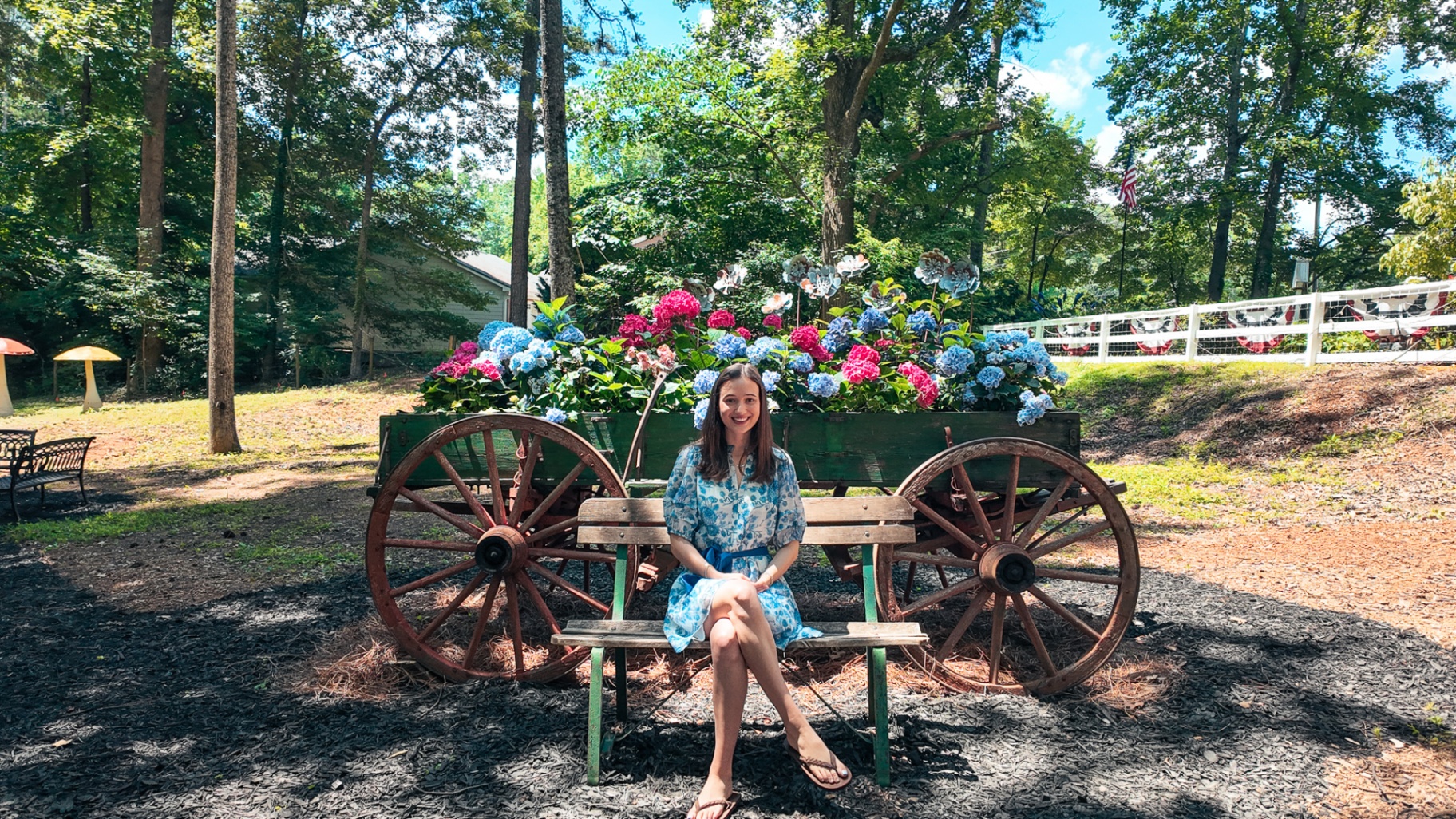 Guest at the wildflower wagon