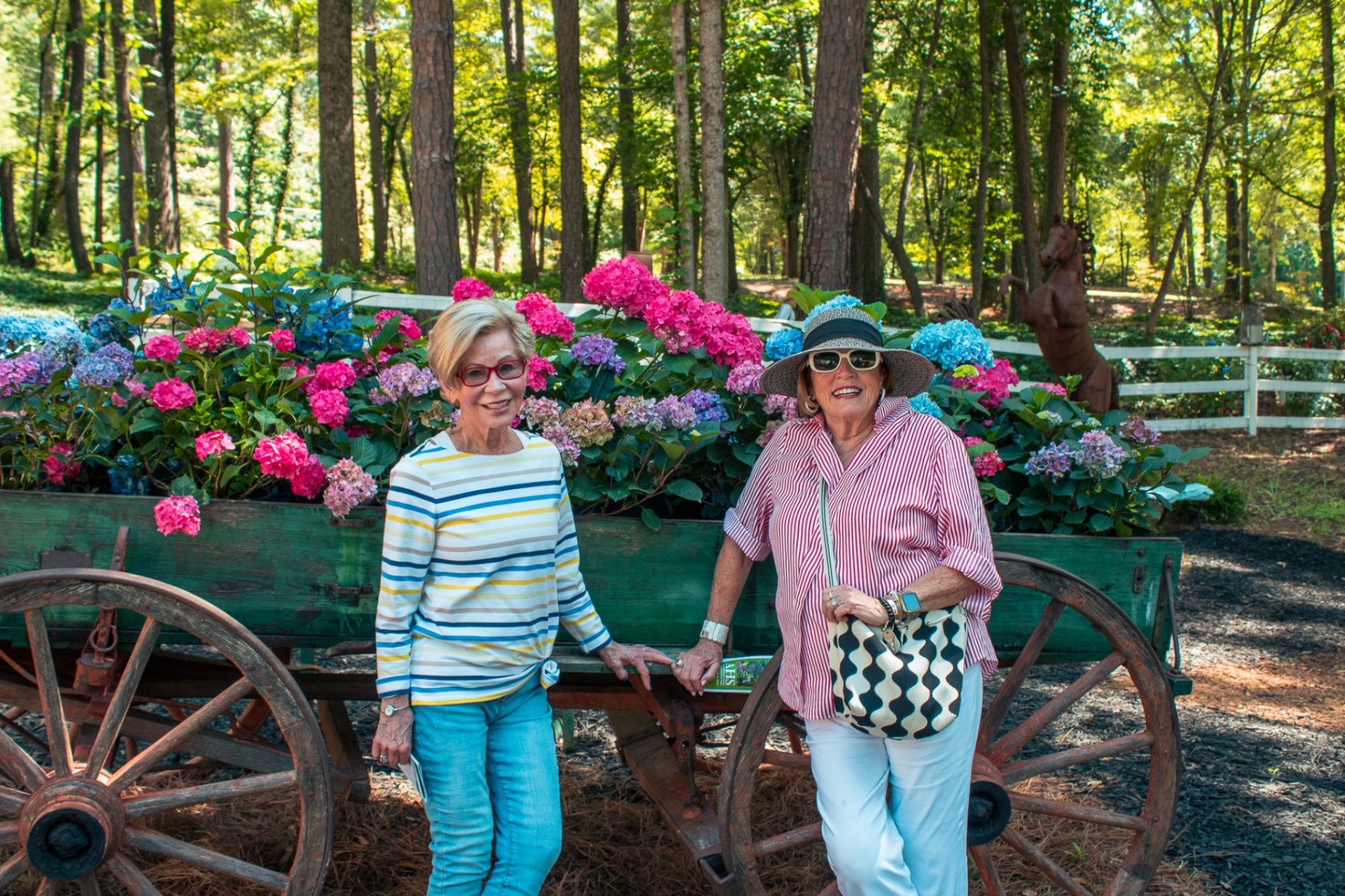 Friends touring the hydrangea garden