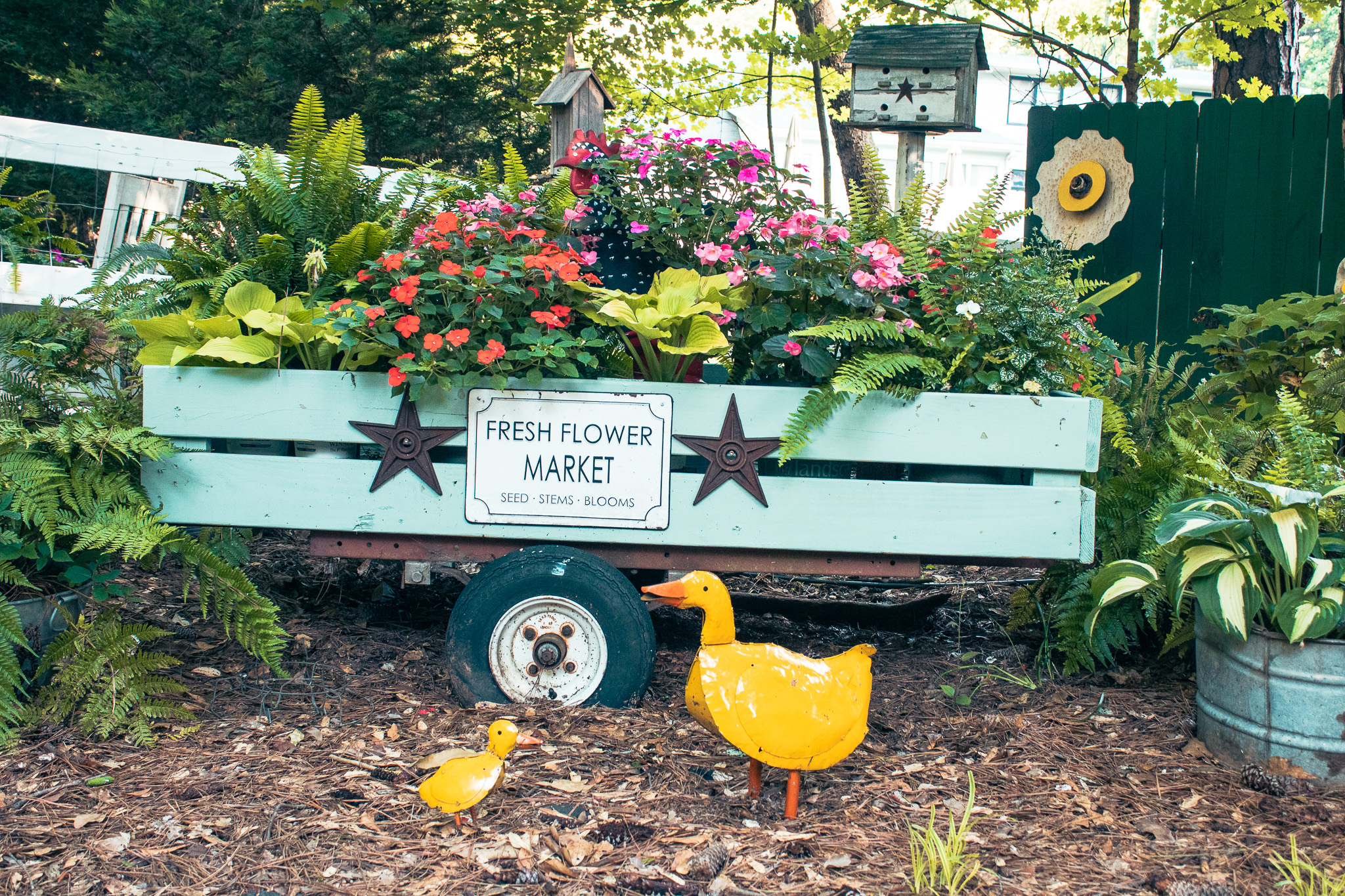 Fresh flower market cart in bloom