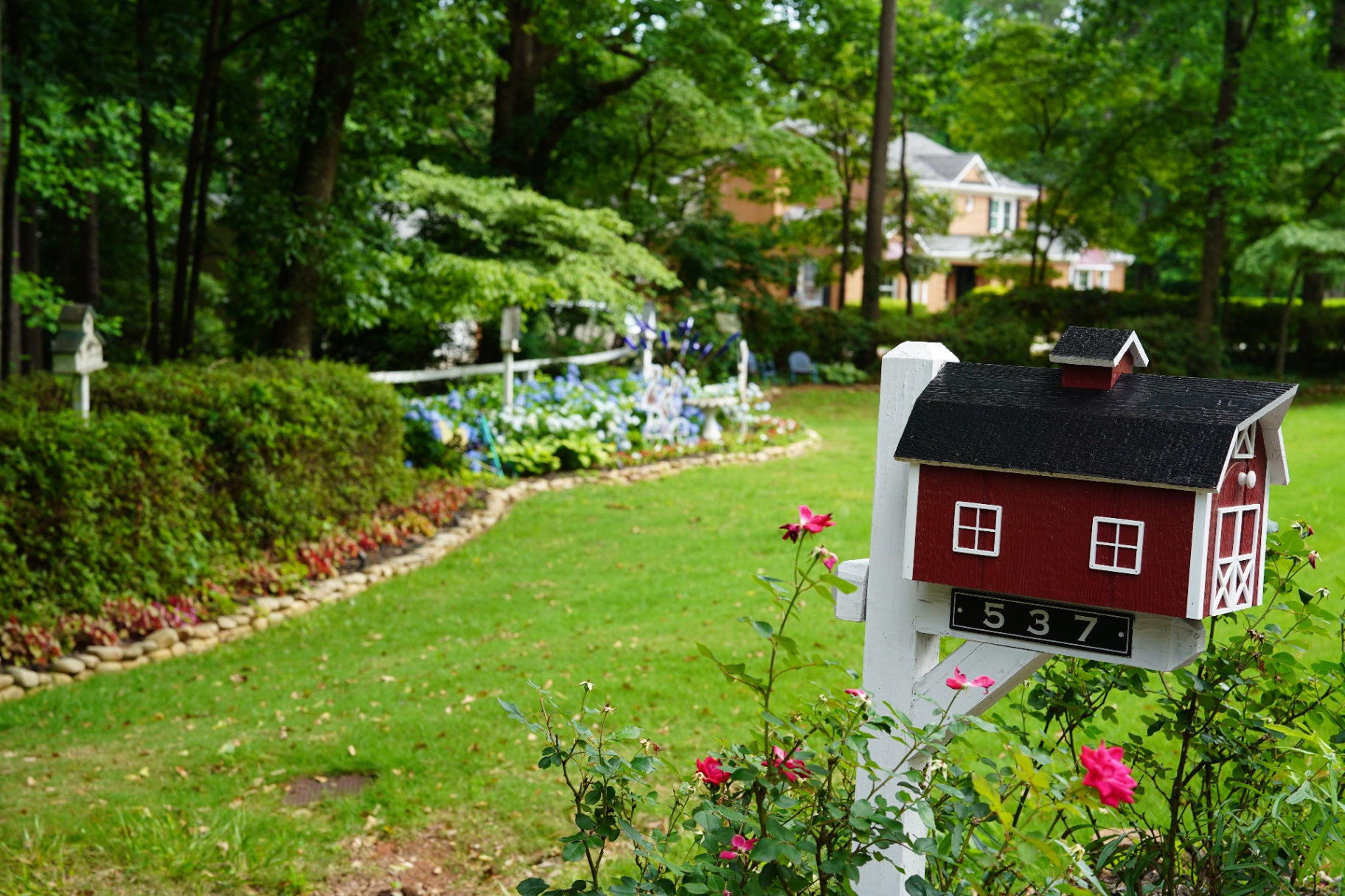 Garden flowers
